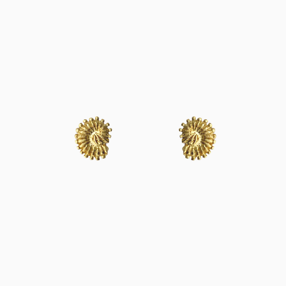 Ronde schelp oorknopjes 14k verguld op 925 zilver – minimalistische strandinspiratie