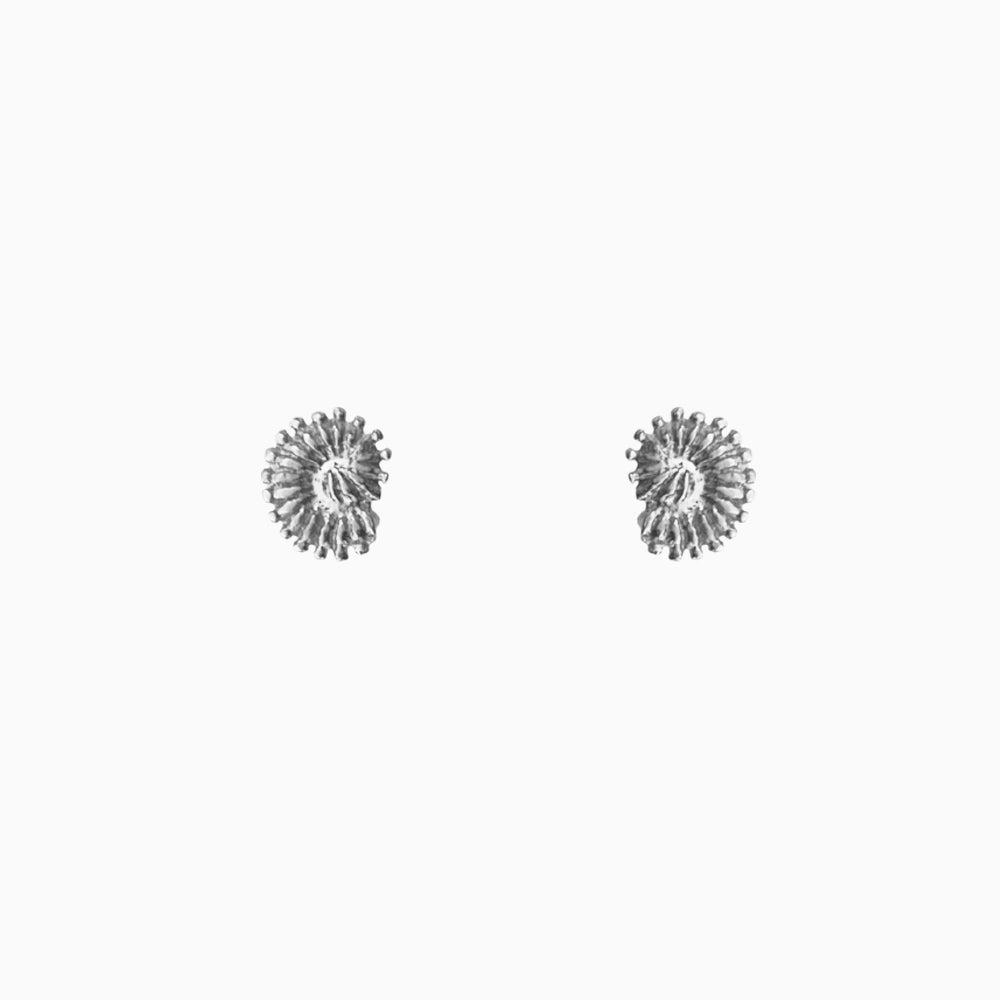 Zilveren ronde schelp oorknopjes – 925 sterling zilveren studs