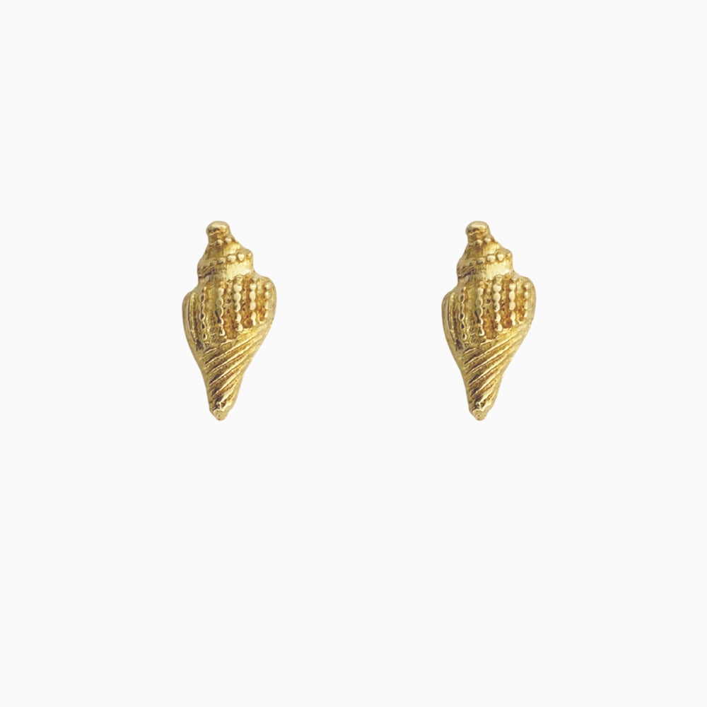 Gouden schelp oorknopjes van 14K gold plated op 925 sterling zilver – subtiele studs voor dames